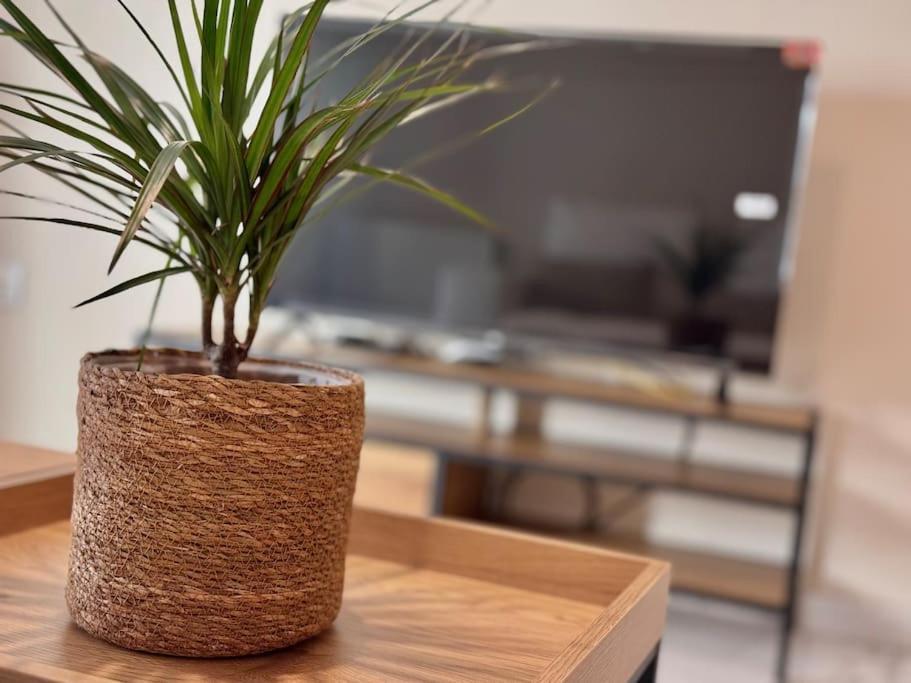 Apartamento En Pleno Centro Con Aparcamiento Opcional Córdoba Eksteriør bilde